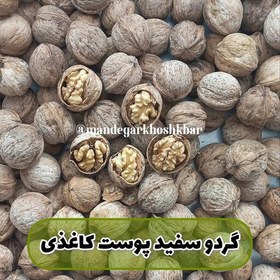 تصویر گردو سفید پوست نازک 