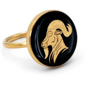 تصویر انگشتر گرد اونیکس دی 