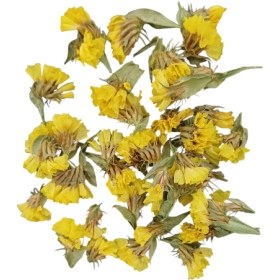 تصویر گل خشک شیپوری زرد G33 