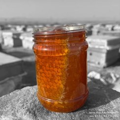 تصویر عسل ممتاز موم دار - ارگانیک - وزن-خالص: 500 گـــــرمی + ضمانت اصالت 