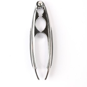 تصویر گردو شکن استیل 