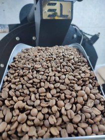 تصویر پرو SC19 / عربیکا / عمده 