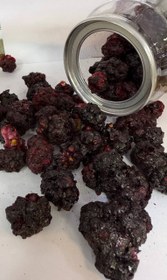 تصویر شاه توت (فریزدرای) 