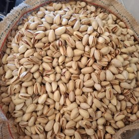 تصویر پسته لوکس ودستچین اکبری پسته انس بدون دهن 