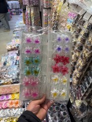 تصویر کلیپس پلومریا مینی کد ۴۳ 