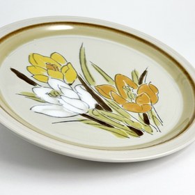 تصویر پلیت اکسونز 