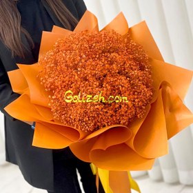 تصویر گل عروس نارنجی 