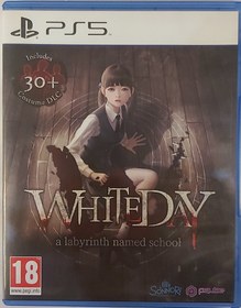 تصویر دیسک ps5: White Day 