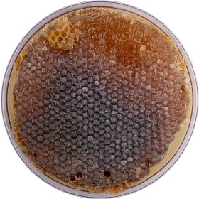 تصویر عسل خودبافت سبد سنتی 