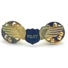 تصویر وینگ پایلت طلایی 