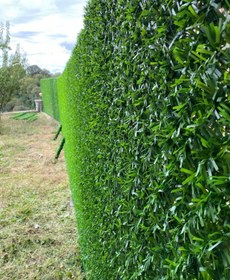 تصویر فنس چمنی تراکم بالا Grass fence