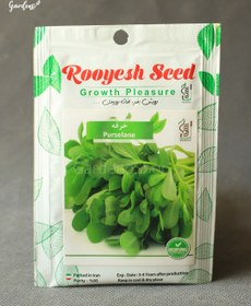 تصویر بذر خرفه 