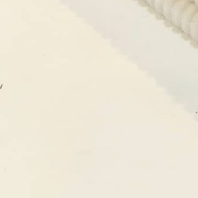 تصویر کبریتی کشی سفید 