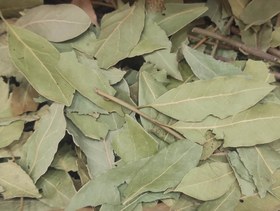 تصویر برگ بو خالص معطر ادویه خوراکی - 500 گرم Bay Leaves
