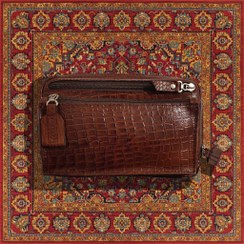 تصویر کیف پاسپورتی شجاع 