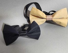 تصویر پاپیون مجلسی 