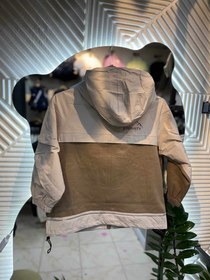 تصویر بارونی 