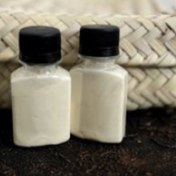 تصویر گرده گل نخل خرمای نر ۳۰ گرم 