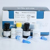 تصویر کیت استخراج دی ان ای Column based DNA Extraction Kit From blood and tissues With Proteinase K (50 Reactions) 