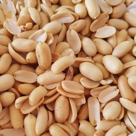 تصویر بادام زمینی 