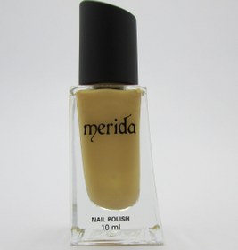 تصویر لاک ناخن مریدا Merida 222 حجم 10 میلی لیتر Merida nail polish 222 volume 10 ml