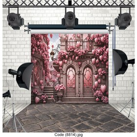 تصویر بکدراپ عکاسی۸814 