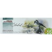 تصویر آبرنگ افرا دانش آموزی 24 رنگ Afra Watercolor Student