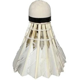 تصویر توپ بدمینتون پر 