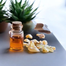 تصویر روغن مصطکی 