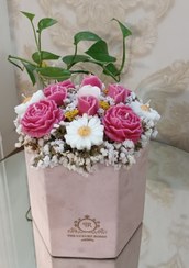 تصویر باکس گل شمع 