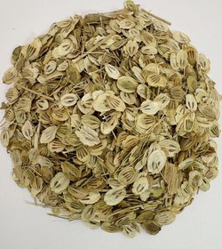 تصویر گلپر درشت اعلا 