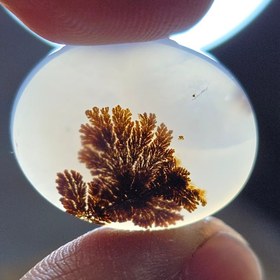 تصویر عقیق شجر قائن 