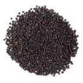 تصویر بذر خردل سیاه 50 عددی 