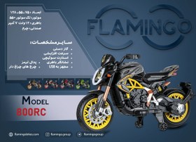 تصویر موتور شارژی فلامینگو flamingo مدل 800RC 