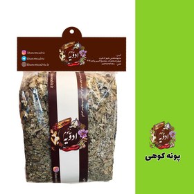 تصویر پونه کوهی 