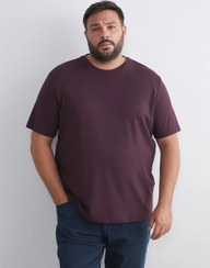 تصویر تی شرت سایز بزرگ مردانه ال سی وایکیکی lc-waikiki lc waikiki 