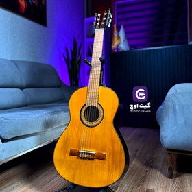 تصویر گیتار سخیا G2plus قهوه ای 