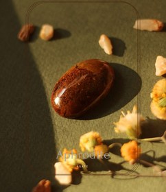 تصویر نگین سنگ عقیق (شجر پاییزی) Agate Gemstone