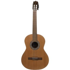 تصویر گیتار مارتین D6 