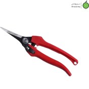 تصویر قیچی هرس لایت ژاپن مدل JH-805A 