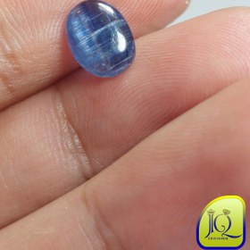 تصویر نگین کیانیت 