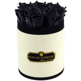 تصویر Black Eternal Roses in Small Flocked Coco Box | کد: ZNB-1IZD 