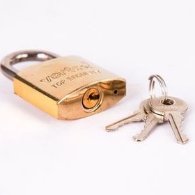 تصویر قفل آویز ورتکس کد 50 