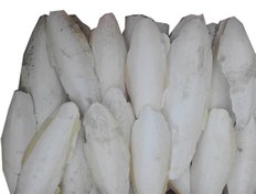 تصویر کف دریا طبیعی مخصوص پرندگان زینتی وزن ۲۵۰ گرم 