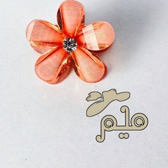 تصویر مینی کلیپس شکوفه 