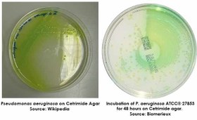 تصویر محیط کشت سترماید آگار (CETRIMIDE AGAR) کیولب - 100 گرم CETRIMIDE AGAR, Quelab