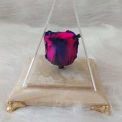 تصویر گل رز جاودان بنفش a1025 