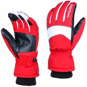 تصویر دستکش پلار کوهنوردی SportsPro SportsPro Polar mountaineering gloves