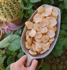 تصویر موسیر - پودر 