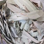 تصویر برگ اکالیپتوس یک کیلو 